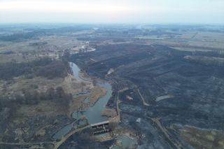 Pożar traw pod Radomiem