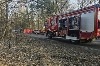 Wypadek w Jaworznie w Seacie zginęła matka, 2 letnie dziecko przeżyło.