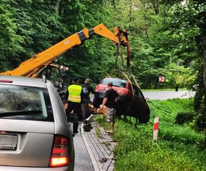 Poczuli weekend w nogach i się zaczęło... Kolizje, wypadki, wpadali do rowów
