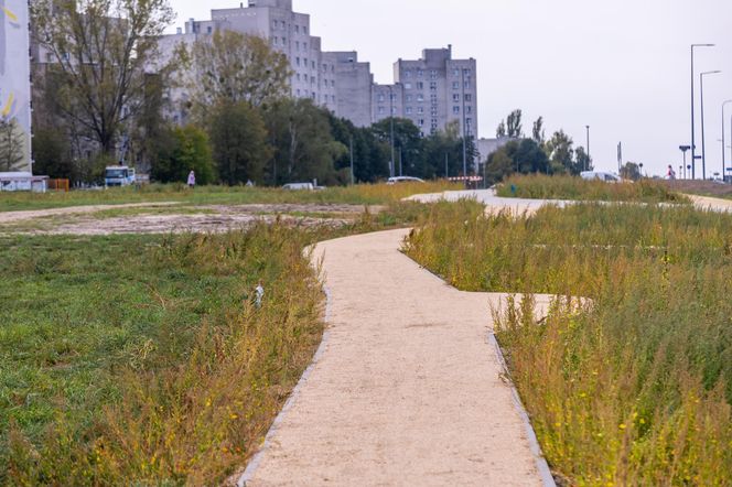 Budowa parku nad Południową Obwodnicą Warszawy