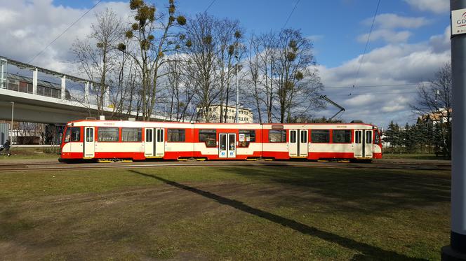 Przepełniona gdańska komunikacja podczas sobotniego rozkładu jazdy. ZTM wprowadza zmiany