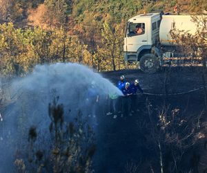Podpalił Turcję, bo chciał iść do więzienia! Podpalacz kurortów złapany