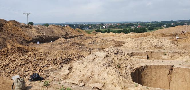 Archeolodzy odkryli neolityczne "lodówki" na północy Krakowa