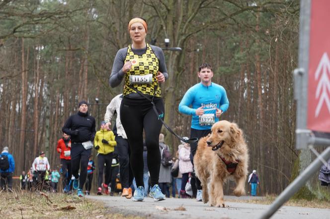 Rekordowy bieg City Trail w bydgoskim Myślęcinku [ZDJĘCIA]