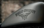 Harley-Davidson Sportster Iron 883