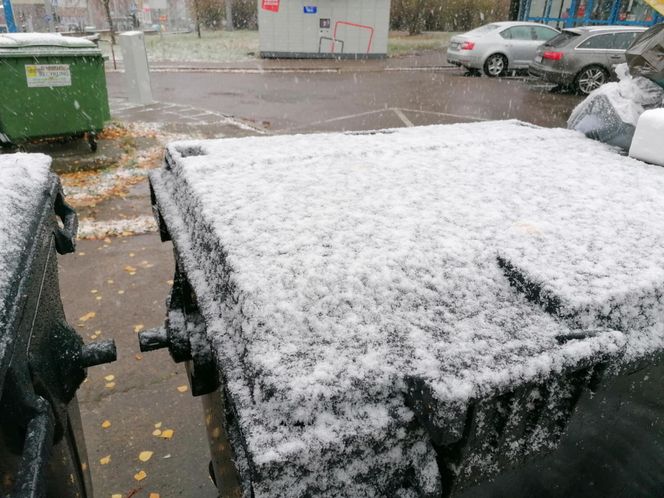 Pierwszy śnieg w Szczecinie