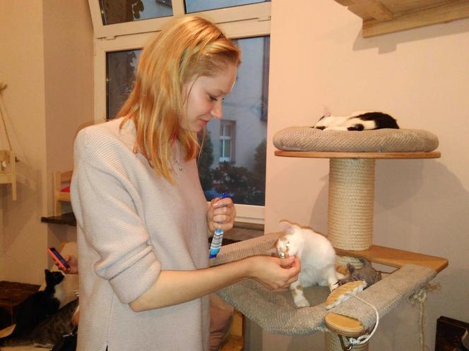 Katowice: Pierwsza na Śląsku Kocia Kawiarnia działa już trzy tygodnie! [ZDJĘCIA]