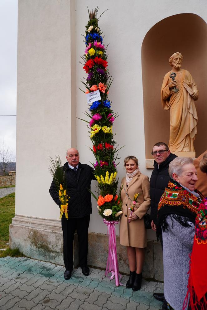 Rekordowe palmy i kiermasz świąteczny w Krynkach