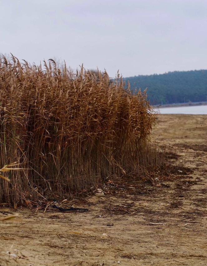 Mroczne klimaty nad zalewem brodzkim. Idealne na spacer dla fotografów