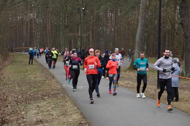 Rekordowy bieg City Trail w bydgoskim Myślęcinku [ZDJĘCIA]