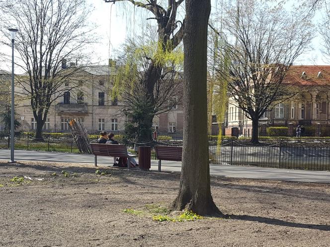 Kończy się czwarty etap rewitalizacji parku na Pl. Kościuszki w Lesznie