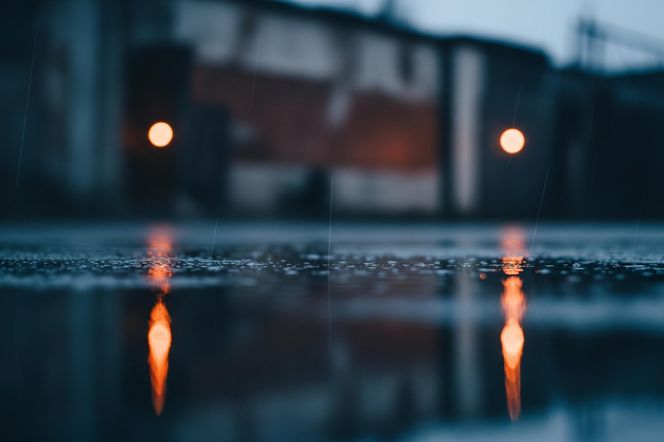 „Czarna Mańka” zabiła Paulinę i jej dzieci. Co było prawdziwym powodem makabrycznej zemsty?