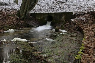 Rowerem przez Bory Tucholskie. Na tym szlaku zobaczymy aż trzy akwedukty, a to godzina jazdy z Bydgoszczy 