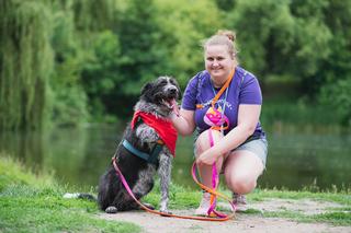 Radosny trójłapek szuka kochającego domu. Kto pokocha Lokiego?