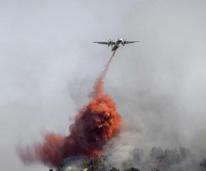Ogromny pożar we Francji! Spłonął obszar wielki jak Paryż