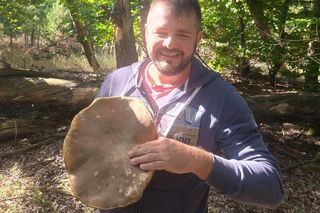 Gigantyczne grzyby w kujawsko-pomorskich lasach