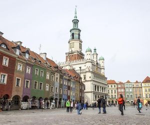 W tych miastach jest największa szansa na miłość! Tu aż roi się od singielek i singli 