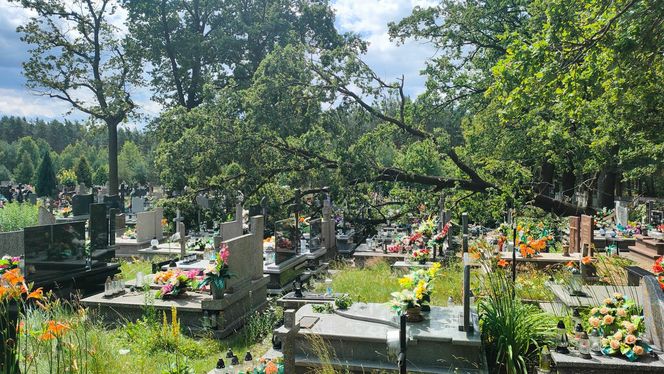 Burze nad województwem łódzkim. Strażacy interweniowali blisko 240 razy