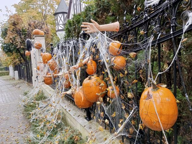 Willa na Jaśkowej Dolinie znów ozdobiona. Tym razem przechodniów zaskakują halloweenowe straszydła!