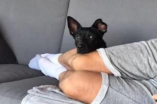 Daria zamknęła psa w mieszkaniu i wyjechała. Teraz Daisy ma nowy dom