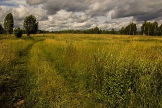 Pogorzelce na Podlasiu