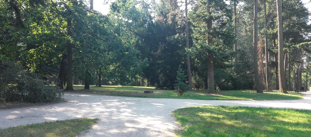 W tym miejscu powstanie nowy park