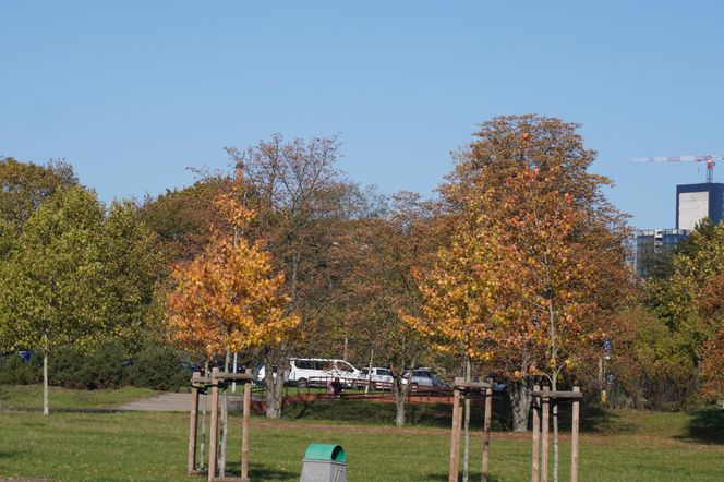 Park im. św. Jana Pawła II w jesiennych barwach