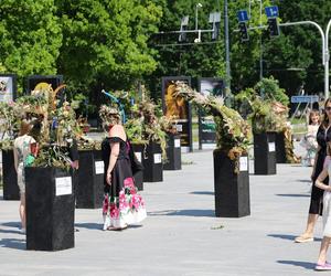 Weekend z florystyką w Lublinie. Zobacz imponujące roślinne instalacje w centrum miasta!