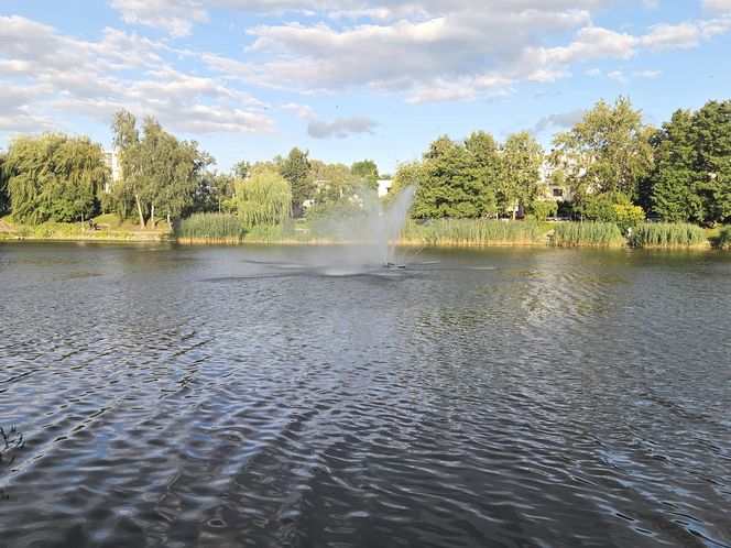 Zielona perła Bartodziejów. Odkryj uroki bydgoskiego Balatonu