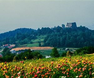 Ruiny Zamku Kamieniec na Podkarpaciu