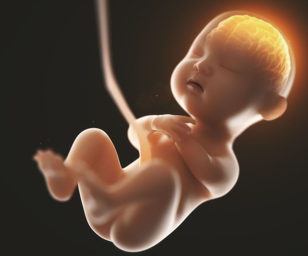 5 miesiąc ciąży: rodzą się zmysły