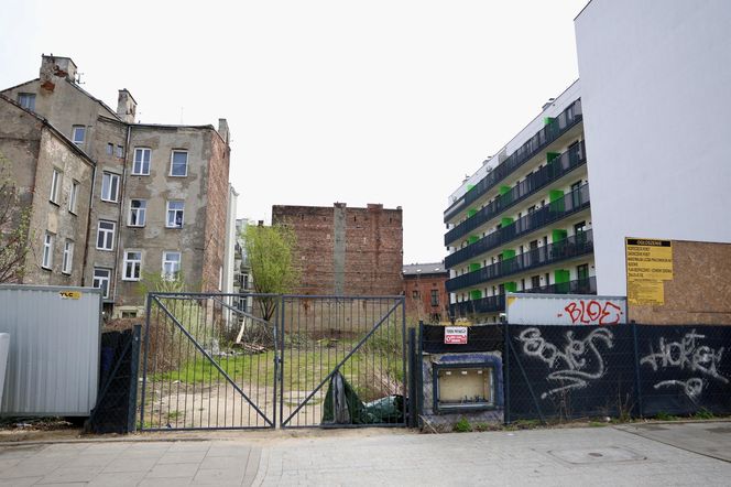 Deweloper nielegalnie wyciął dwa drzewa w Warszawie. Mieszkańcy oburzeni. „Będziemy reagować”