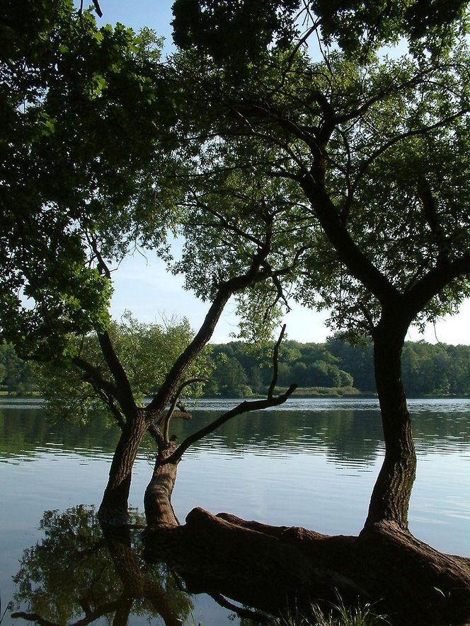 Jezioro Rusałka 