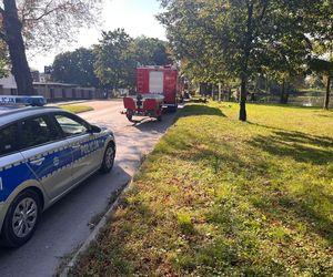 Sokołów Podlaski: 20-letni kierowca spowodował kolizję i wjechał do stawu