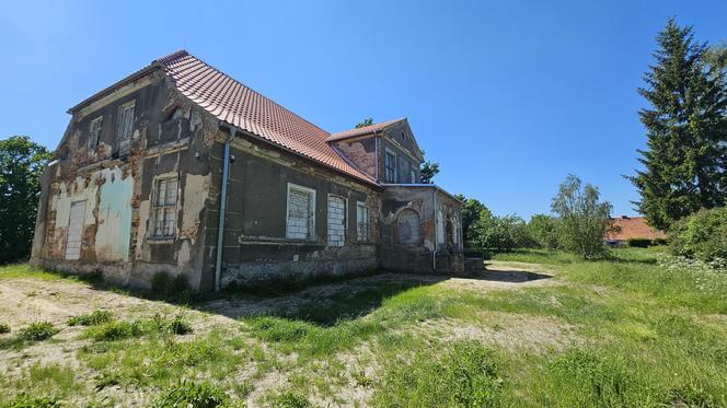 Było, zniknęło i... powróciło. Zobacz magiczne jezioro Track na obrzeżach Olsztyna [ZDJĘCIA]