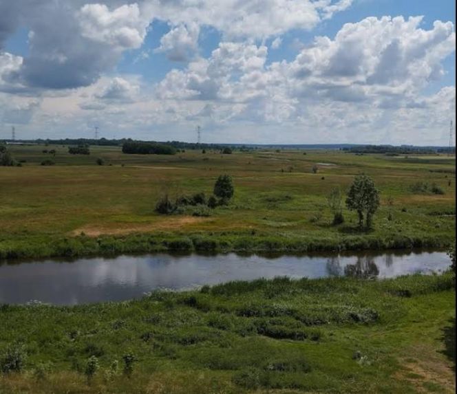 Grodzisko w Surażu, zwane również Górą Królowej Bony