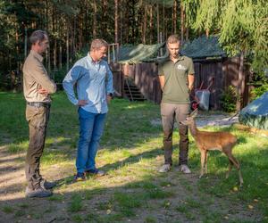 Warszawski ośrodek pomaga zwierzętom od 15 lat. Zobacz zdjęcia leśnych pacjentów