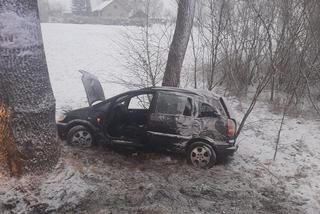 Wypadek w Pakoszach. Straciła panowanie nad autem i uderzyła w drzewo [FOTO]