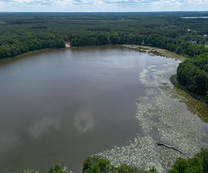 Grób harcerza Dominika utonął w kwiatach