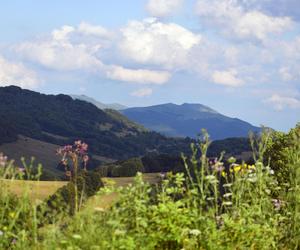 Panorama na Bieszczady 