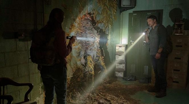 „The Last of Us”: czy cordyceps rzeczywiście nam zagraża? Odpowiedź może wam się nie spodobać