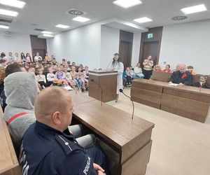 Wilki na ławie oskarżonych.