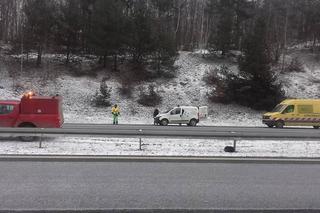 Ranny pies zamarzał na środku autostrady. Przez dwie godziny nie otrzymał żadnej pomocy [AUDIO, ZDJĘCIA]