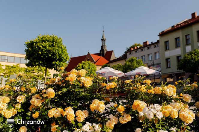 Chrzanów. Najlepsza gmina do życia w Małopolsce 2025