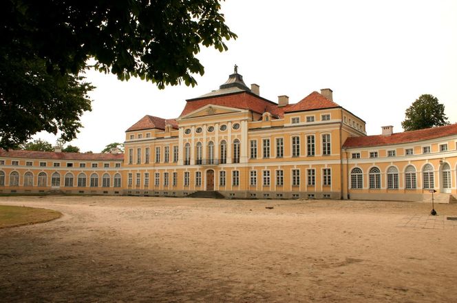 Dawniej rezydencja magnackiego rodu, dziś imponująca galeria sztuki. Zaglądamy do wnętrz Pałacu w Rogalinie