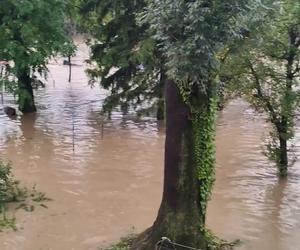 Śląskie miasta walczą z żywiołem, dochodzi do ewakuacji