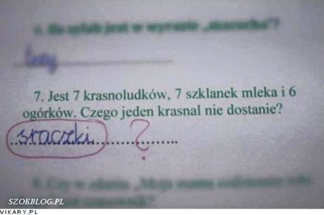 Nauczyciel płakał ze śmiechu jak sprawdzał. Te odpowiedzi z klasówek to HIT! [GALERIA]