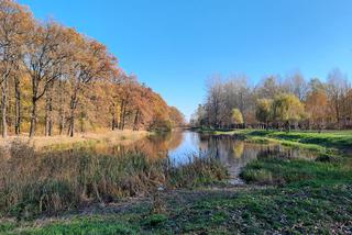 Park Miejski w Toruniu