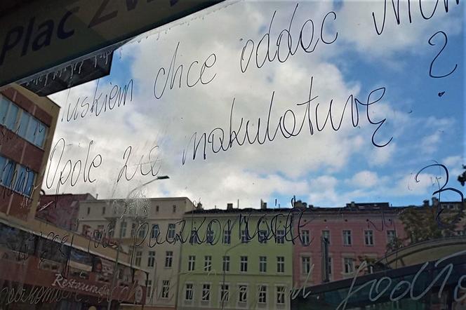"Manifesty" wandala w Szczecinie