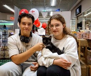 Akcja adopcyjna Fundacji Dobre Ludki w Grudziądzu. Posłuchaj zapowiedzi 